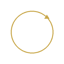 Lifecycle